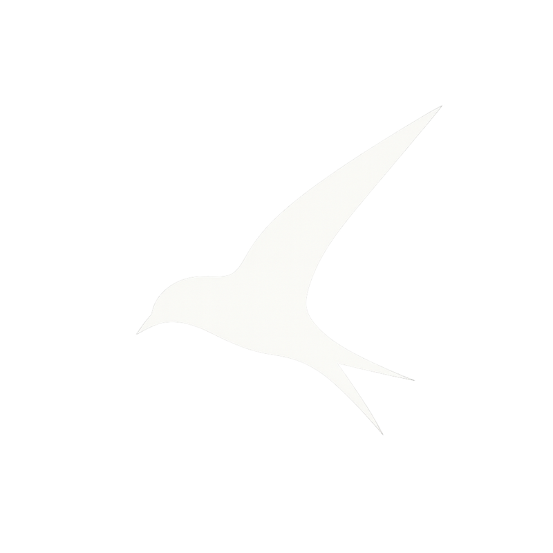 Executive Swift Travel Logo