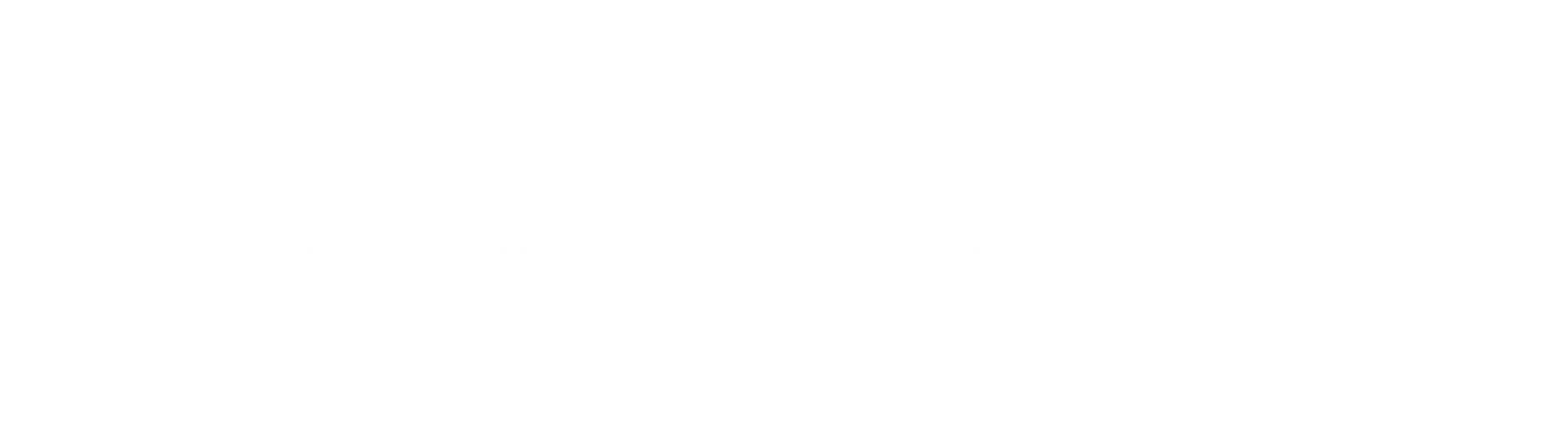 Executive Swift Travel Logo